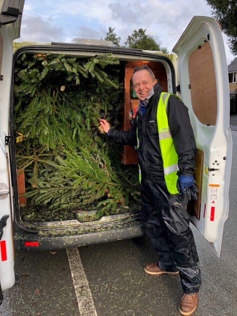 collecting trees from residents in the areas of Ulverston and Millom